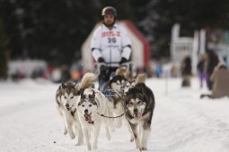 Lenzerheide 2013